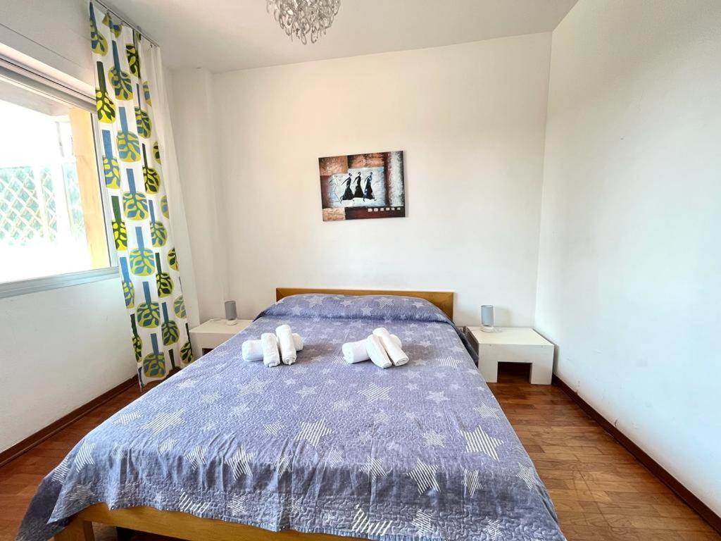 Imperiale Apartment Tirrenia Eksteriør billede